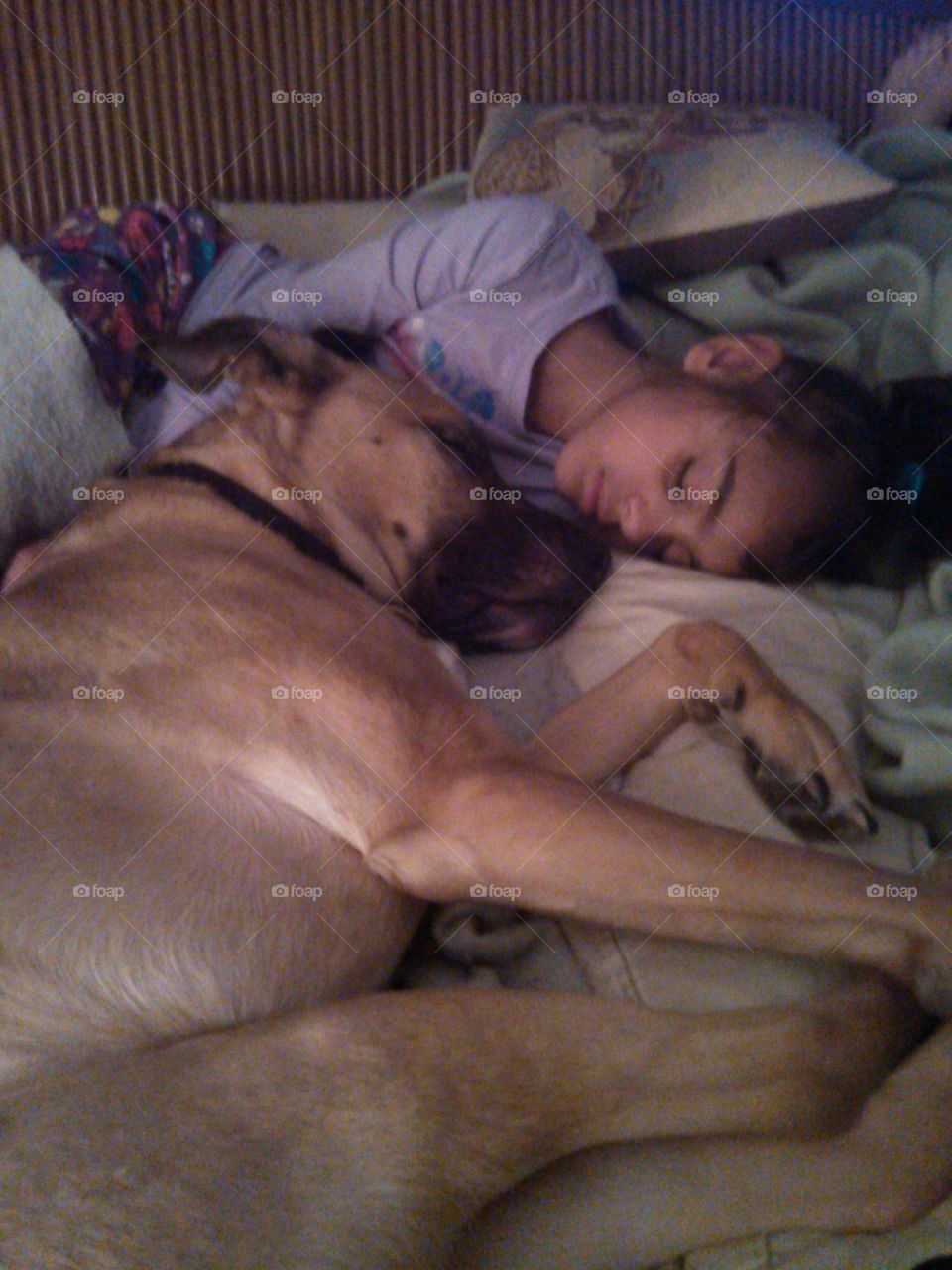 Dog and girl sleeping on bed