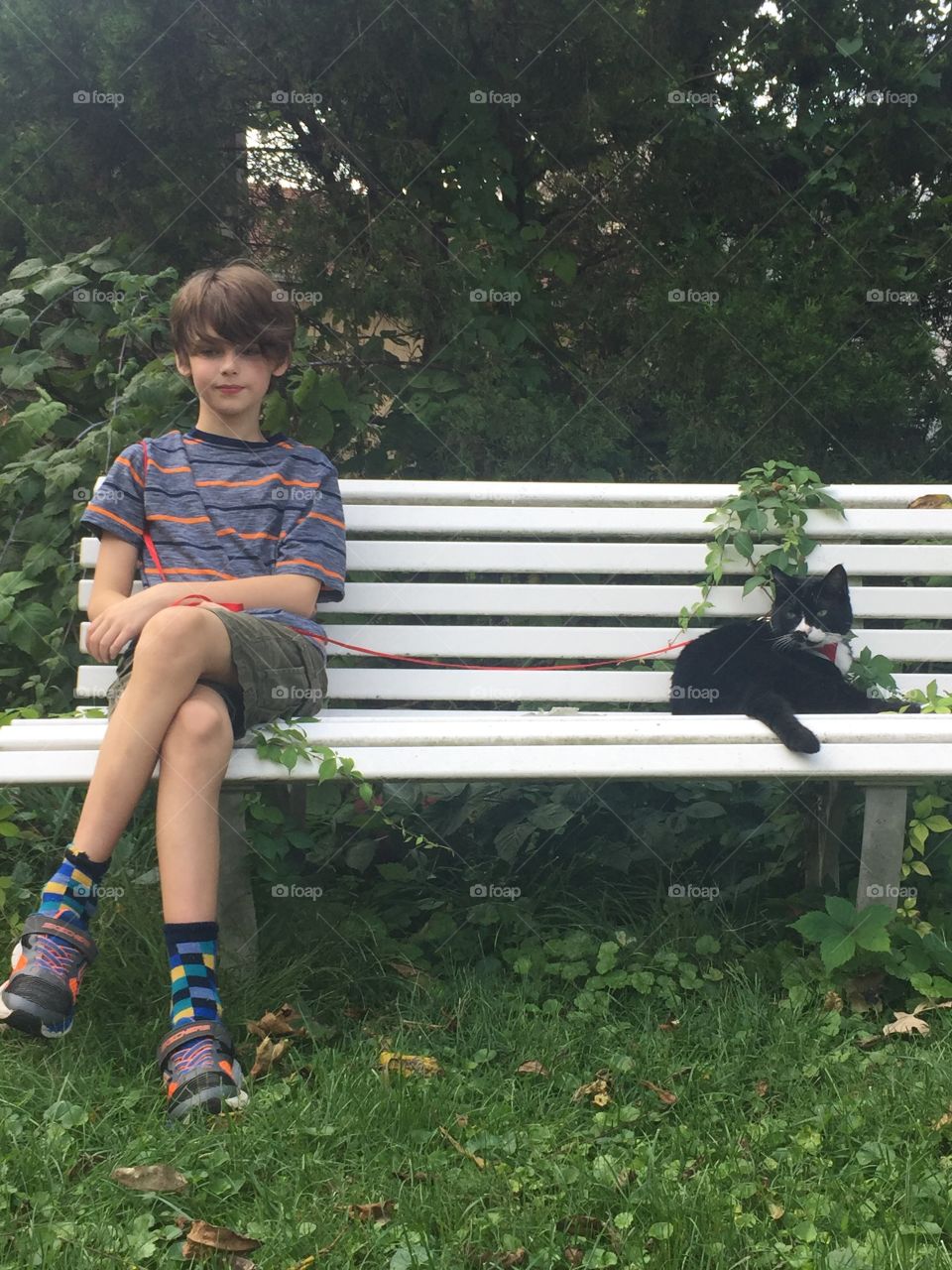 A Boy and His Cat 