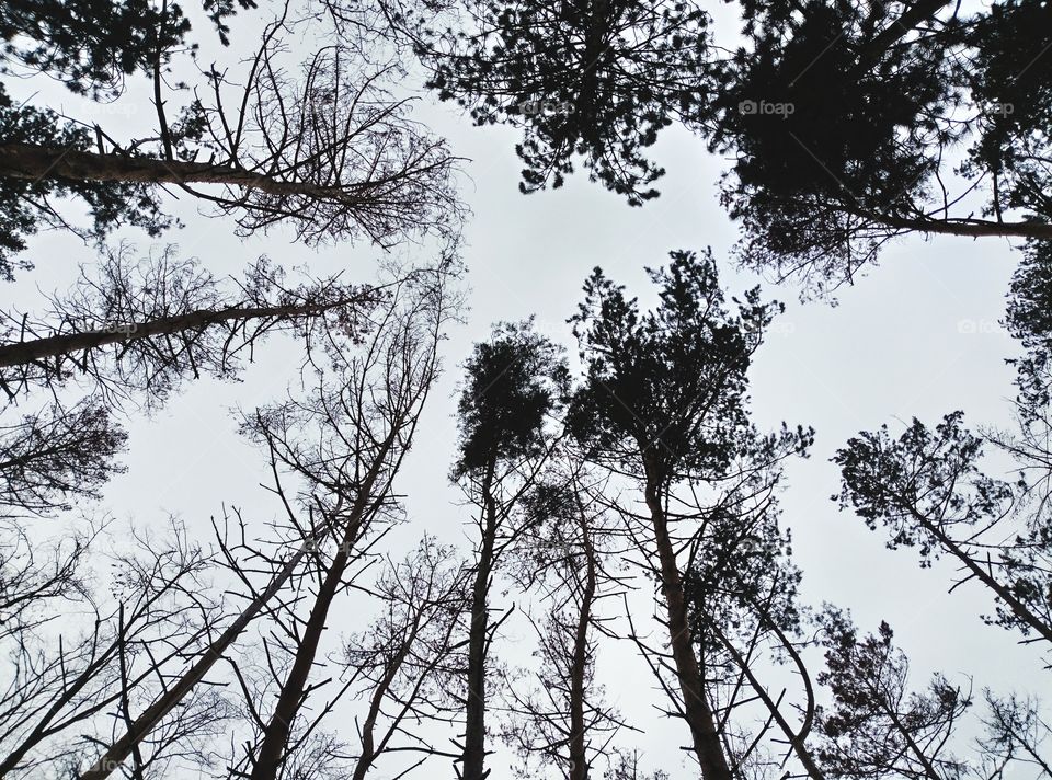 Guardando verso l'alto