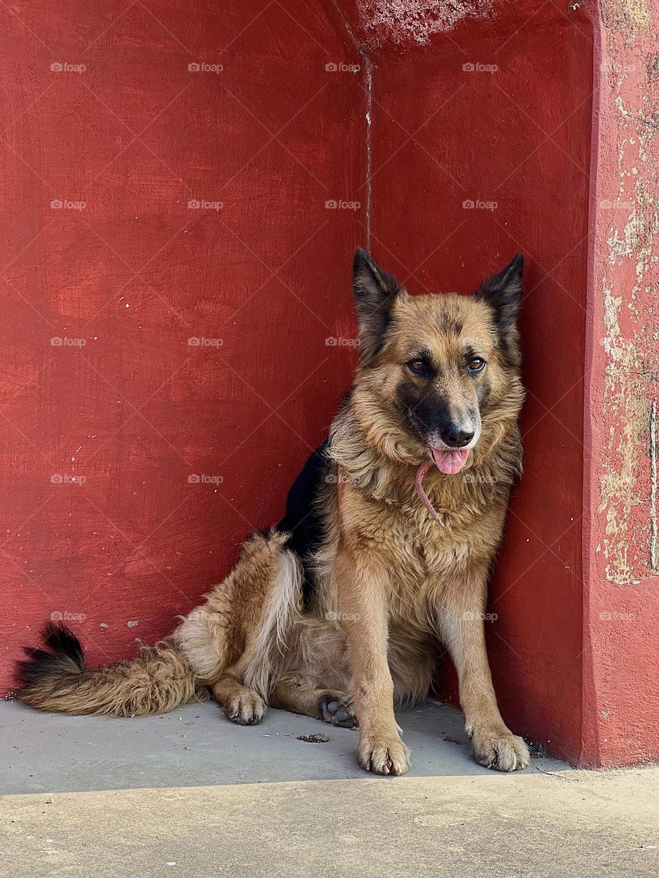 Big smile for photograph☺️