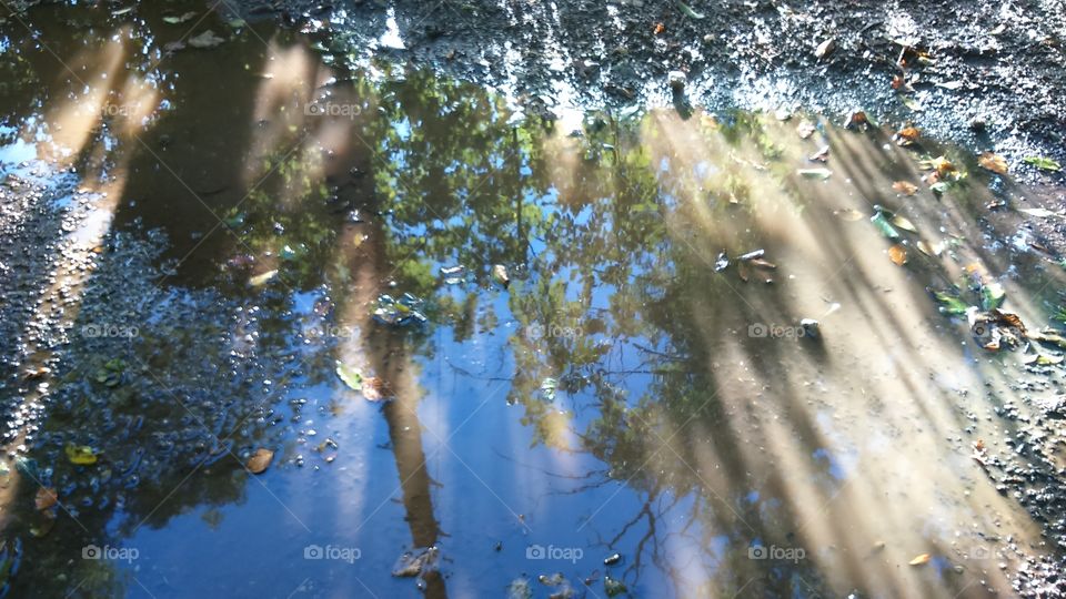 puddle reflection