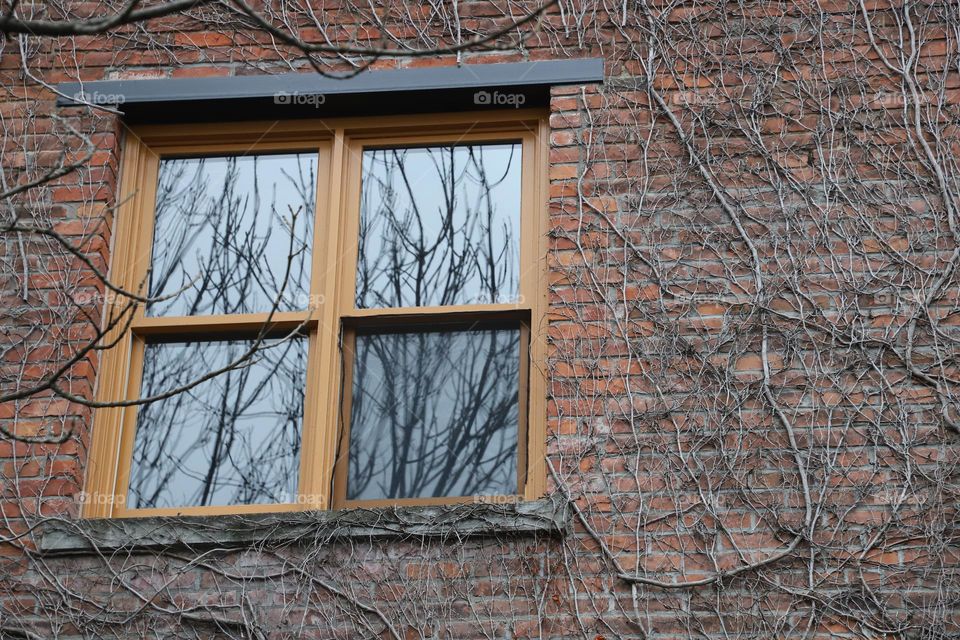 The brick wall with window 