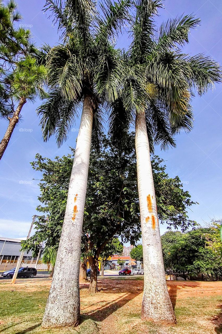 Portal - Indaiatuba Ecological Park