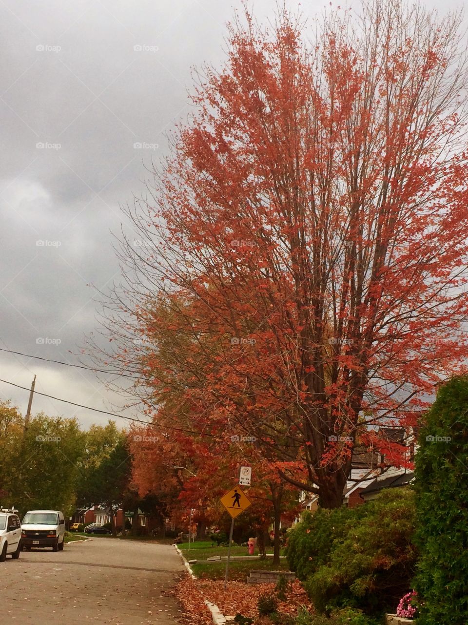 Beautiful Autumn Toronto 