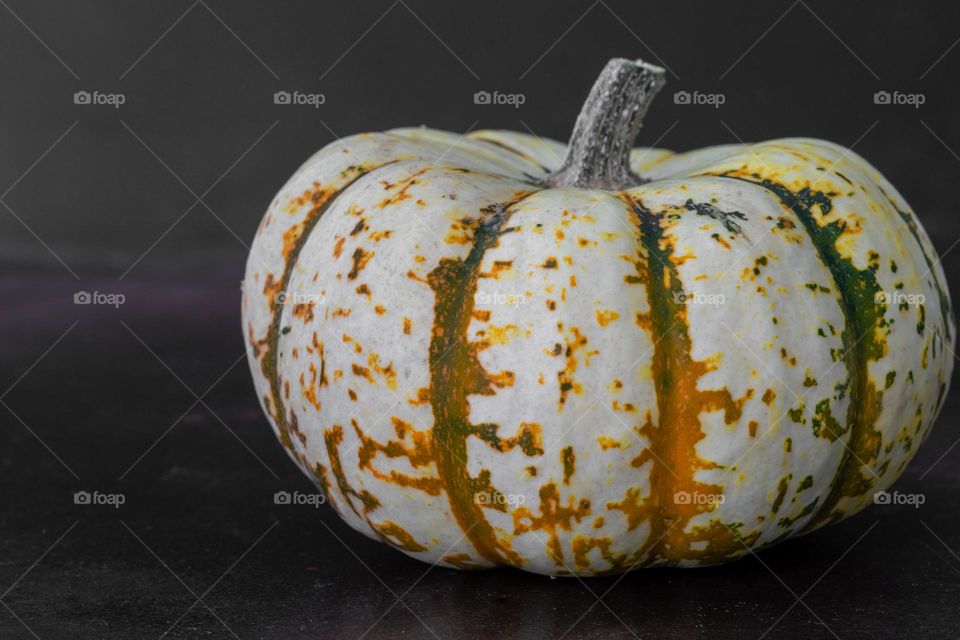 close up of a pumpkin