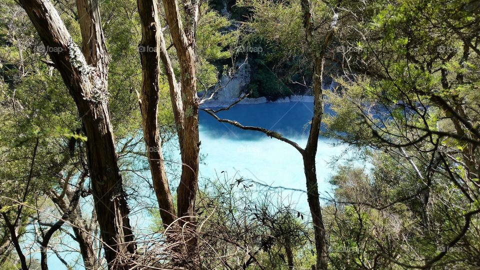 Waimangu Volcanic Rift Valley