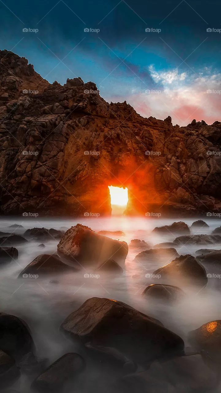 Nature's