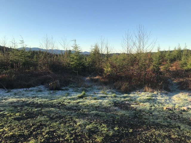 Coal Creek Frosted