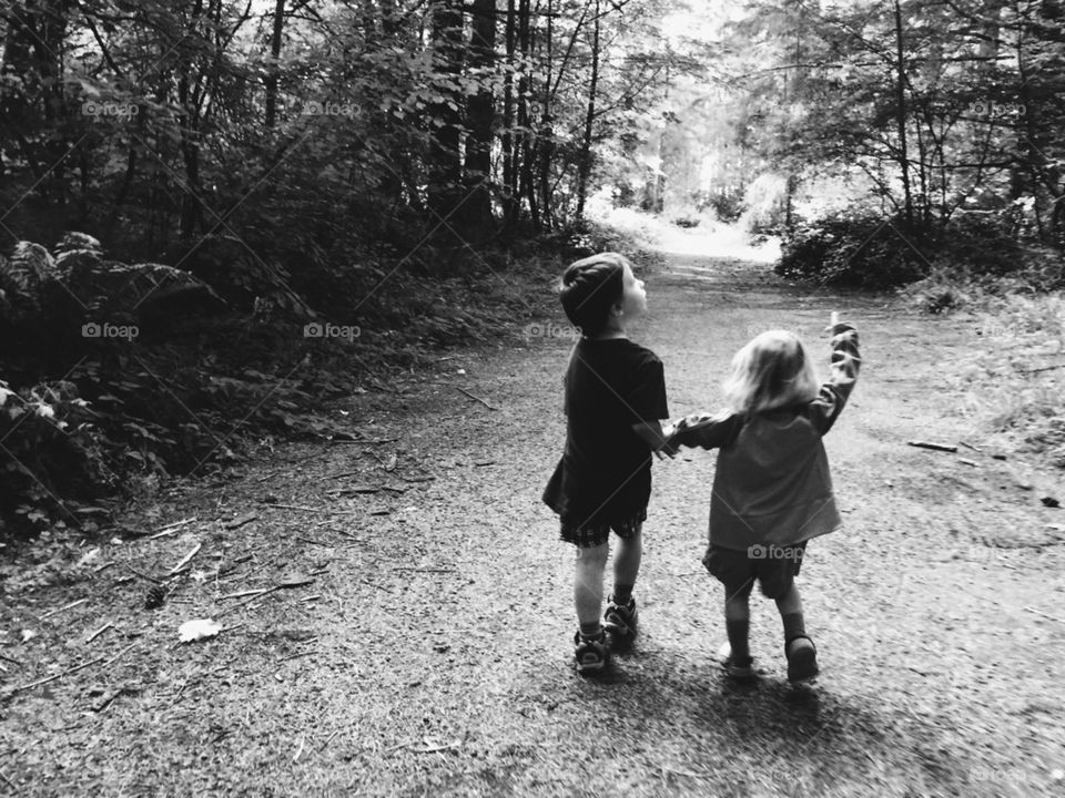 Walking in the woods