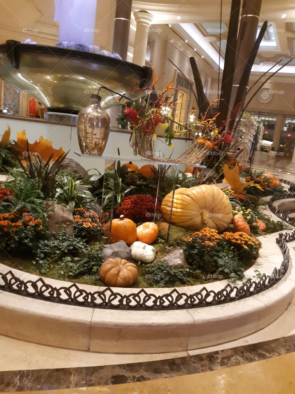 Beautiful pumpkins with autumn leaves around at the Palazzo Casino Las Vegas NV