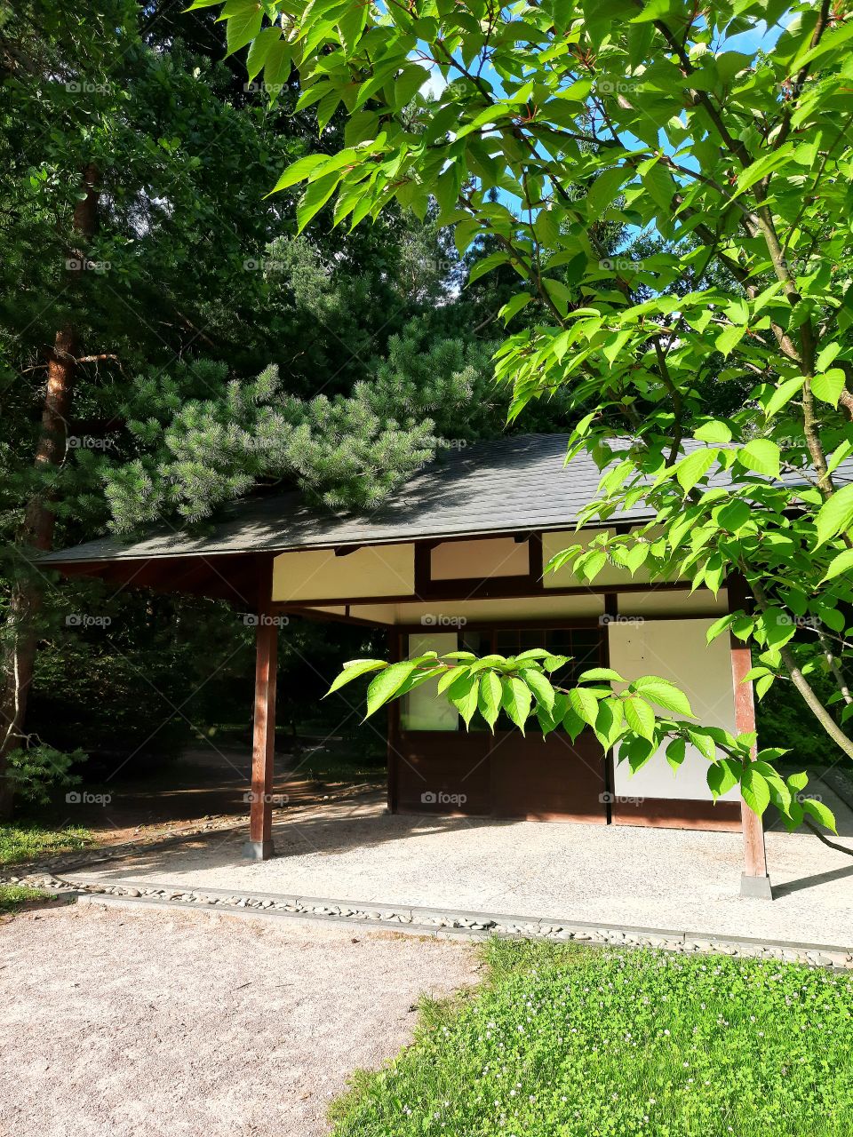 Japanese garden in Moscow