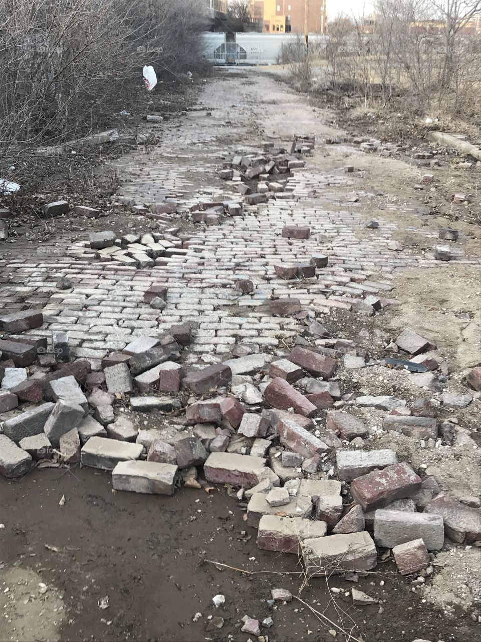 Broken brick road 