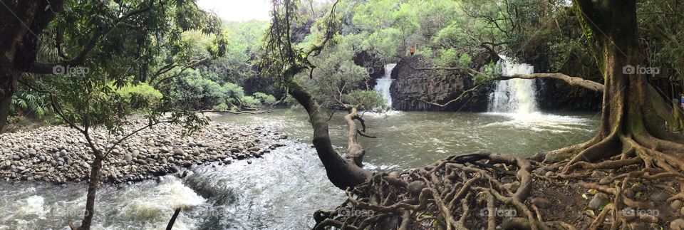Water, River, Nature, Tree, Stream