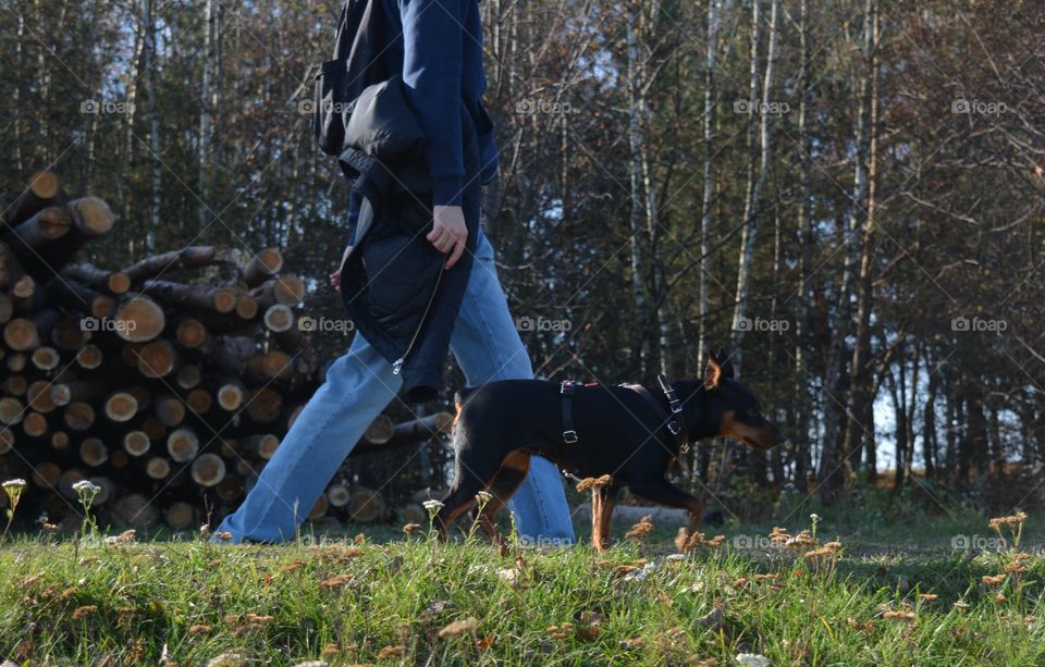 men walking with dog beautiful landscape social distance