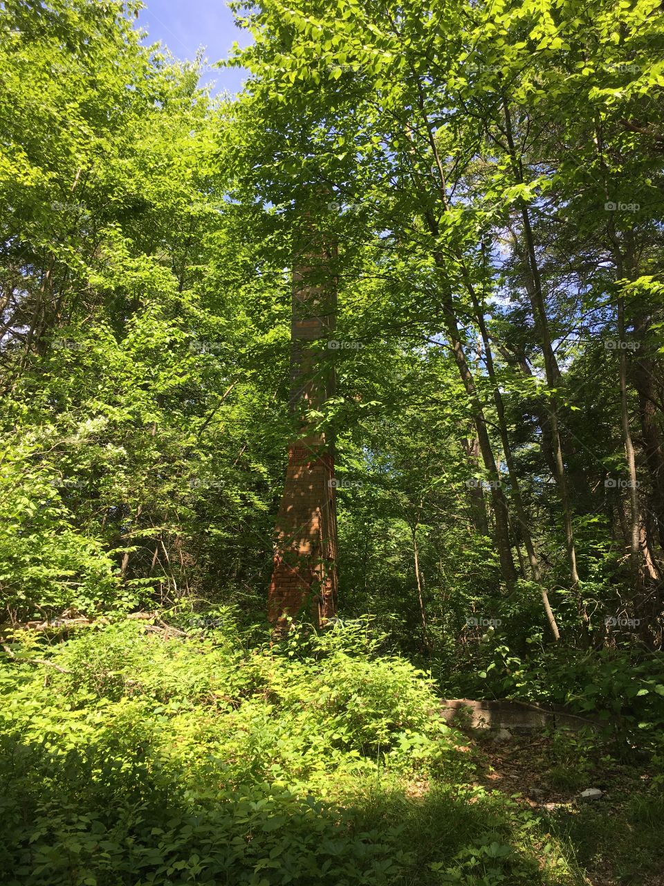 Lovers Leap State Park - Castle chimney