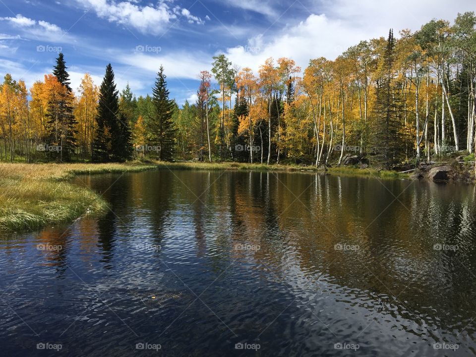 Autumn Lake 2