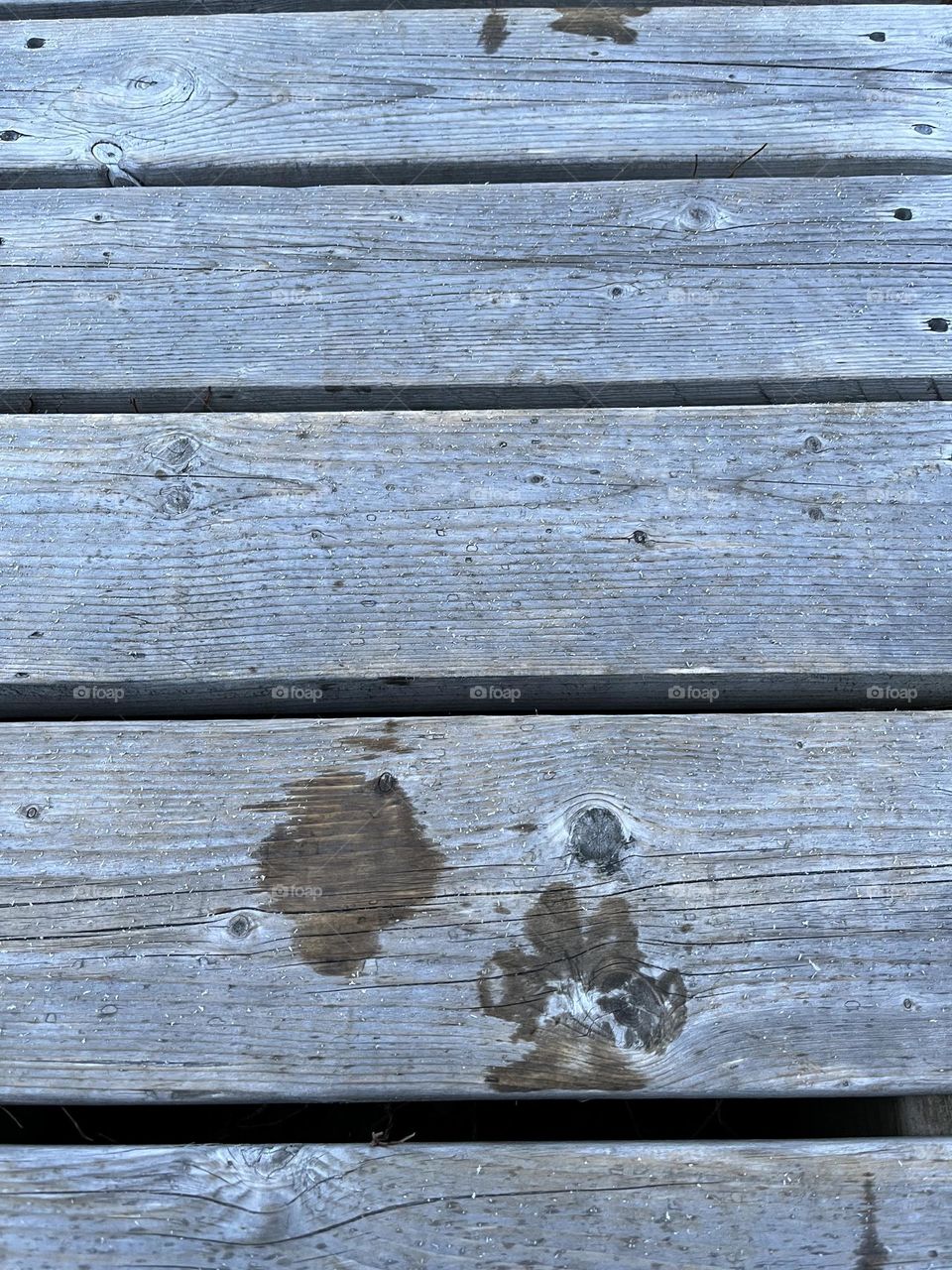A paw print that pulls on my heartstrings 