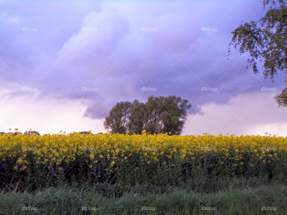 Ein Gewitter zieht auf