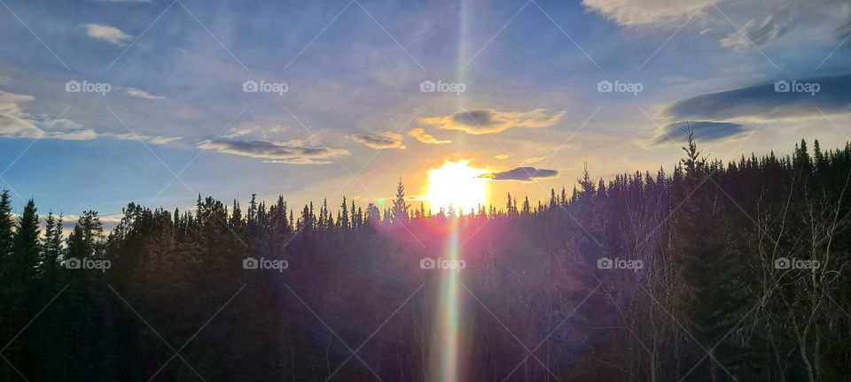 Sunsets over frozen trees