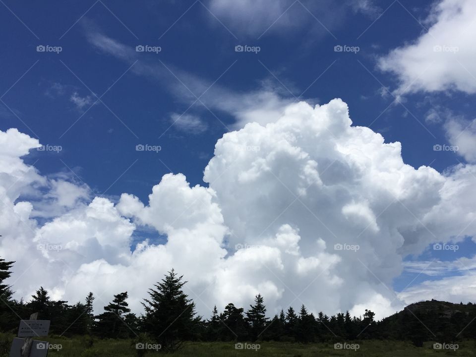 Landscape, Sky, No Person, Nature, Tree