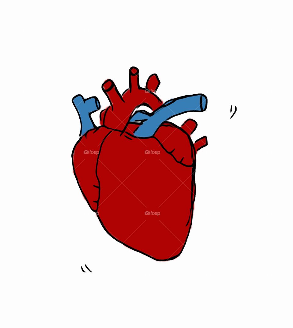 Drawing of a heart. 