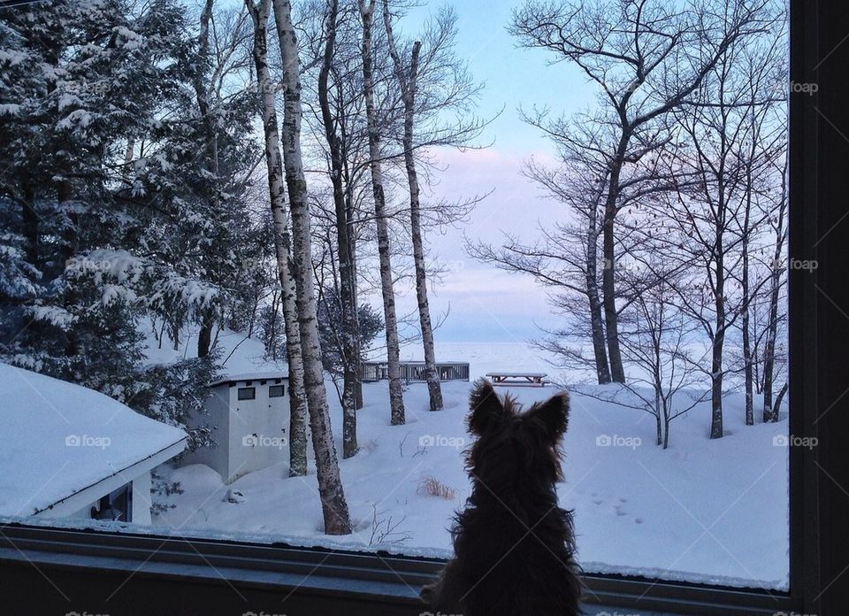 Will Spring ever come?