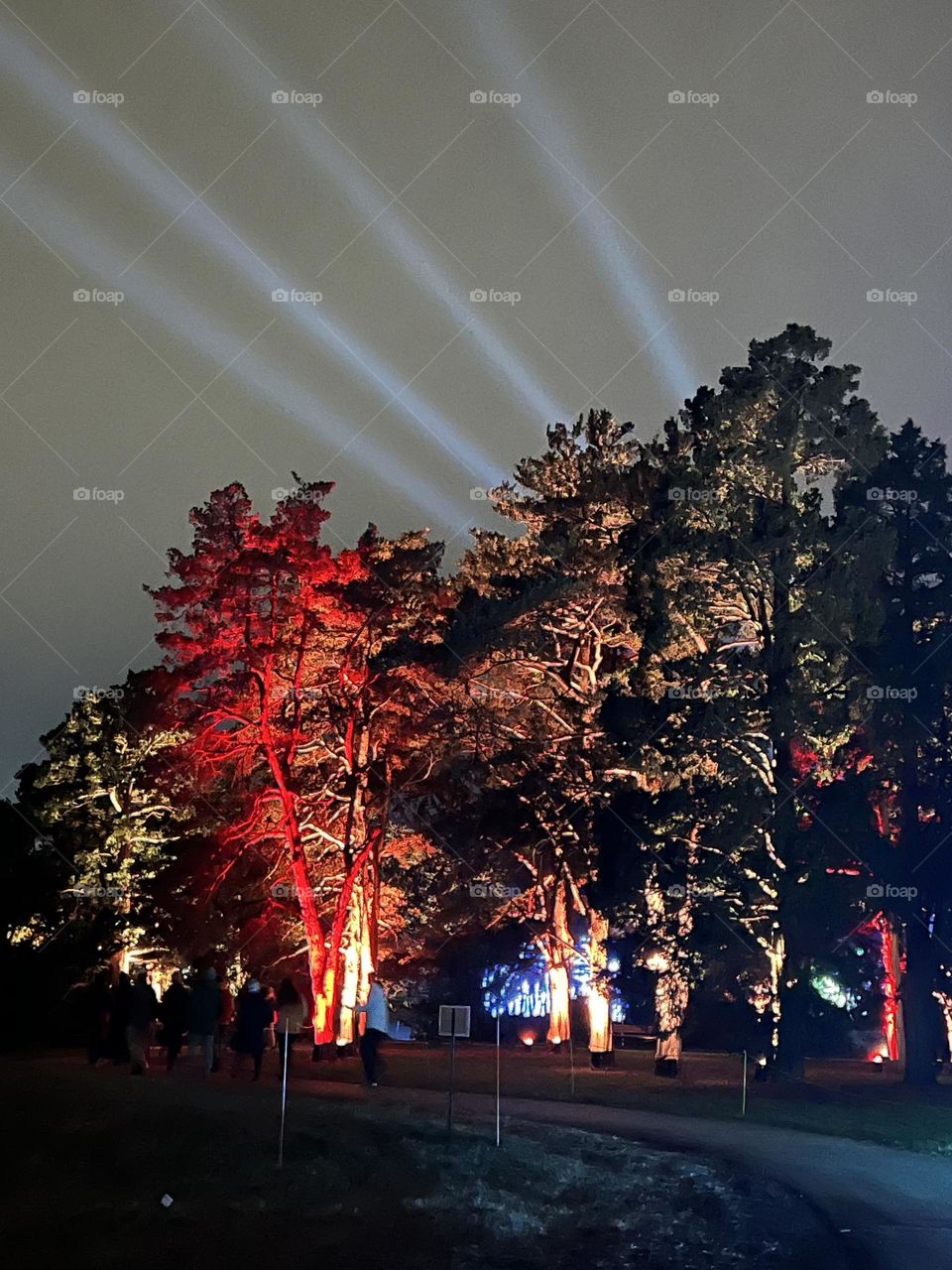 Illumination Light Show in Lisle Illinois 