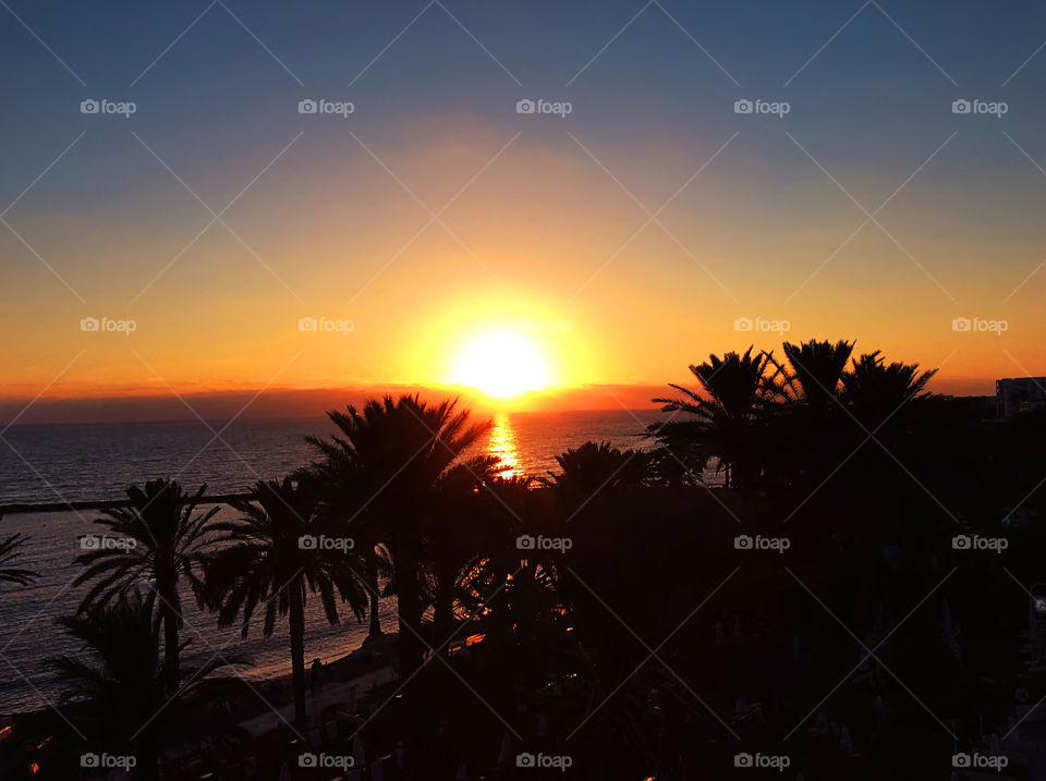 Sun sinking in the sea among the silhouettes of tropical palm trees 