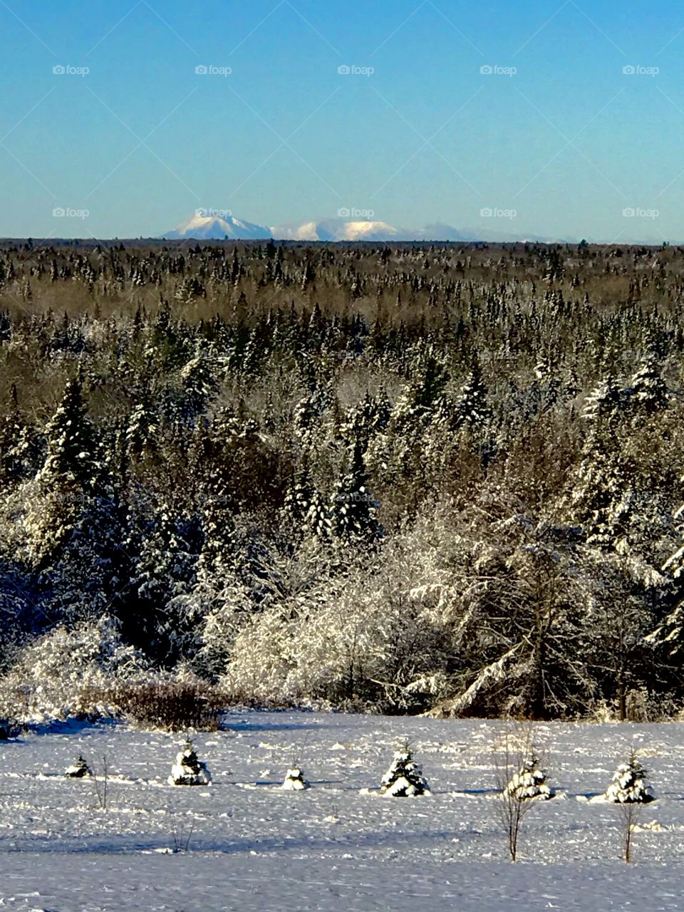 Enjoying a view of Mt. Katahdin from a friend’s porch