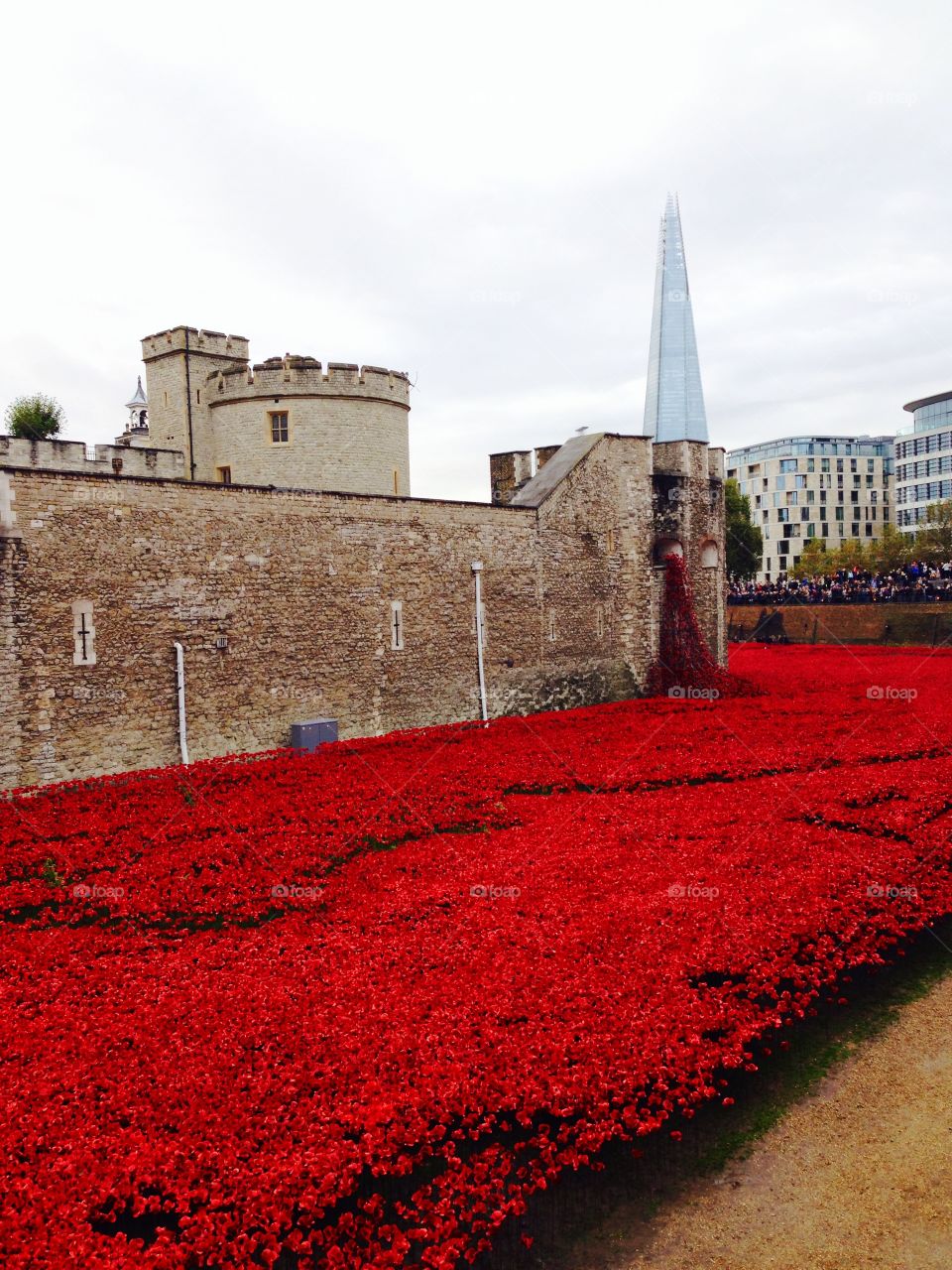 Tower of London remembrance ceramic pottery poppies November 2014 