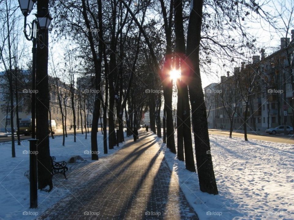 Street in winter
