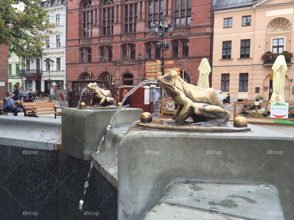 Frogs on the fountain Torun