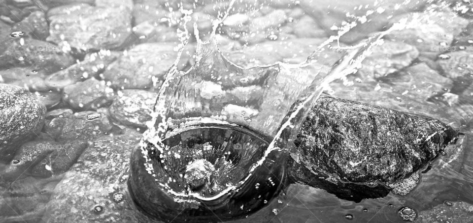 Wet, H2 O, Splash, Bubble, Drop