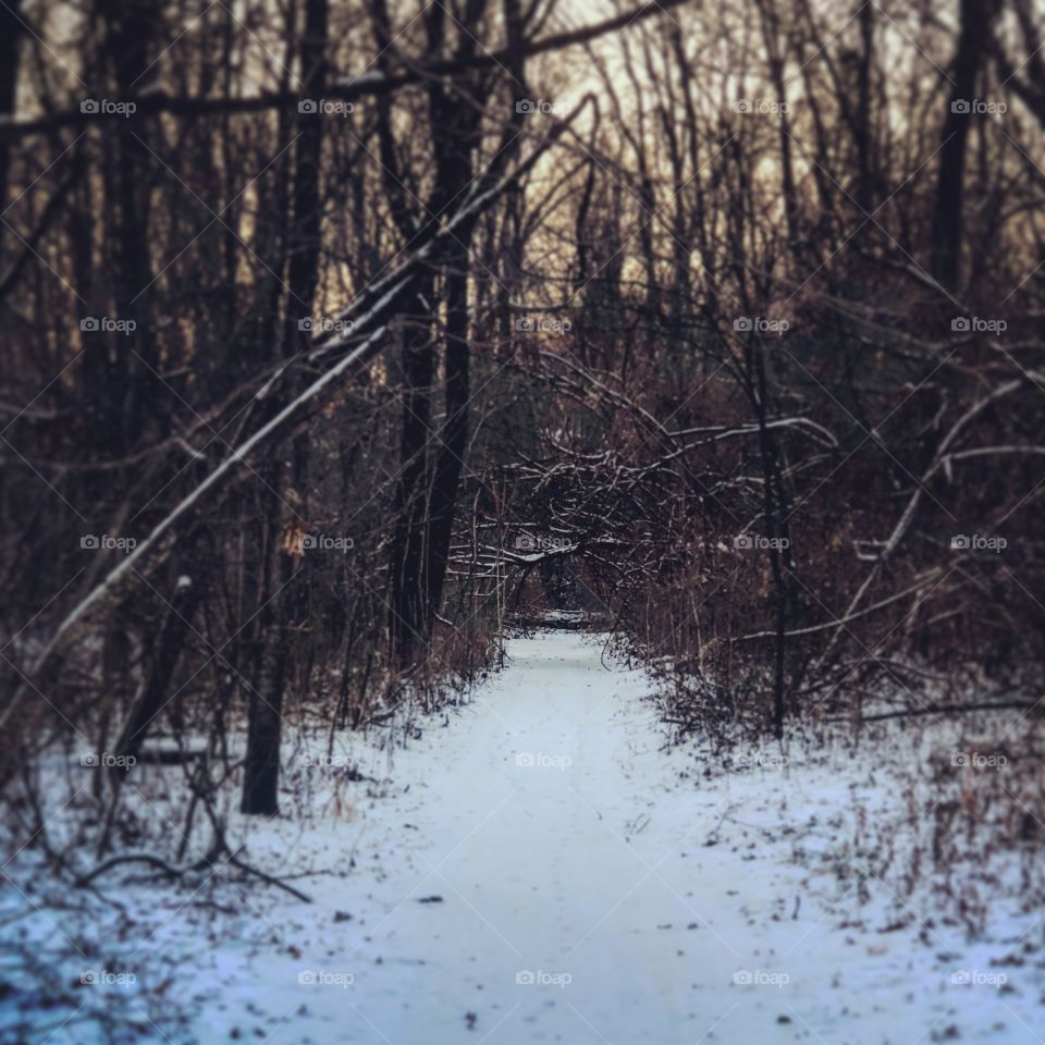 Winter pathway