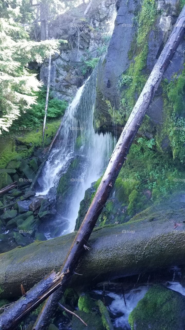 Trout Lake Falls