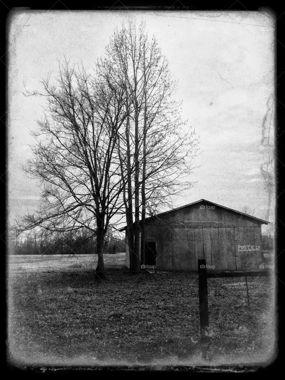 A creepy B&W photo of an old, rural Arkansas farm barn marked "posted"