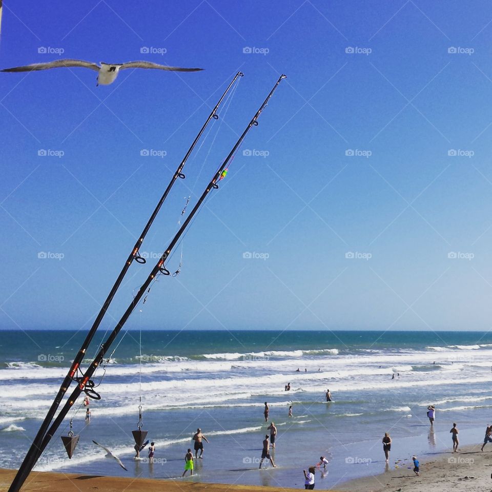 Day at the Beach. I was at the Cocoa Beach Pier taking pictures when this seagull flew right into the frame.