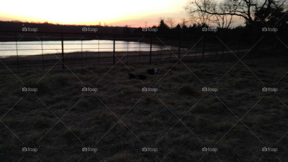 Beautiful Sunset Over fenced in Pond