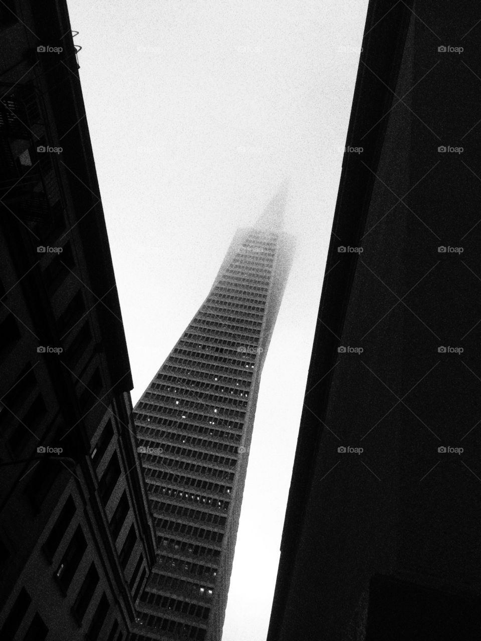 Black and white photo of the Trans America Pyramid San Francisco CA