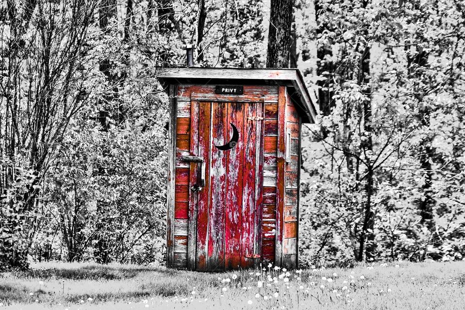 Privy in the woods