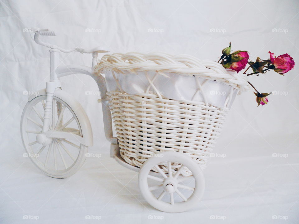 decorative toy bike and dried rose buds