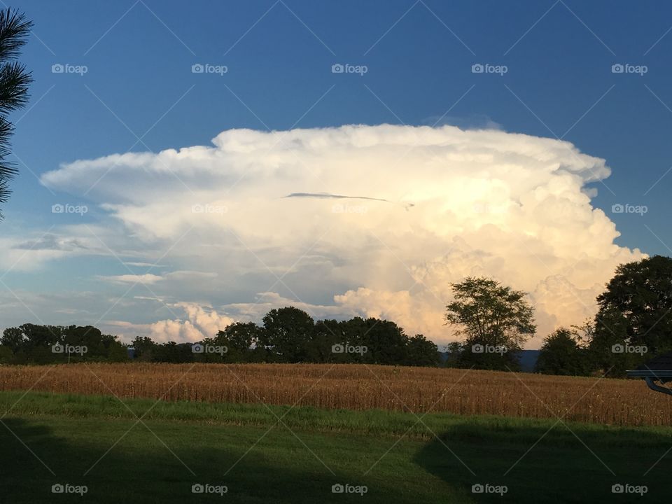 Summer Thunderhead Cloud