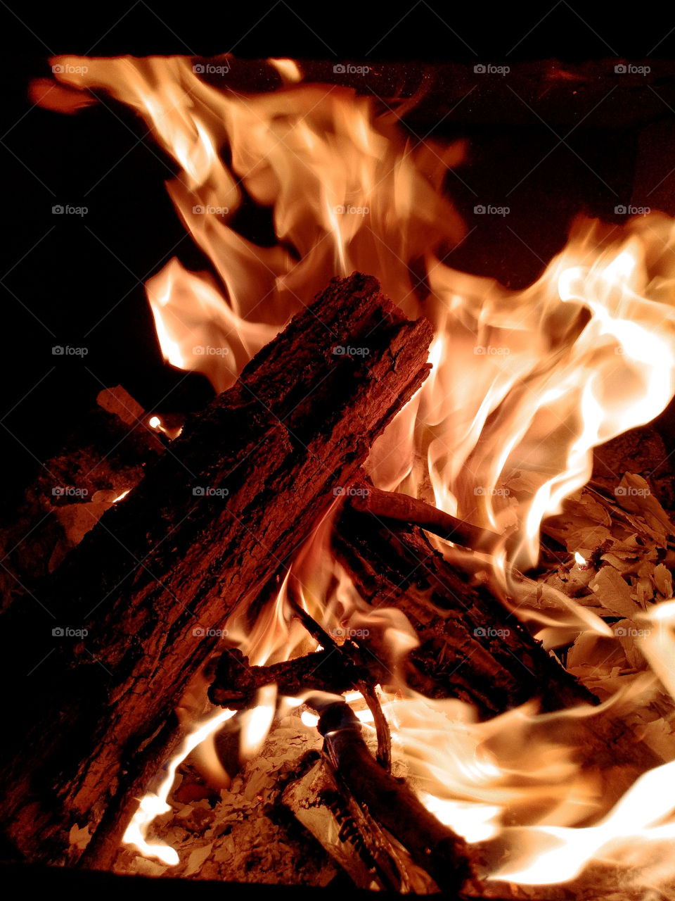 fire, tree in fire, red fire