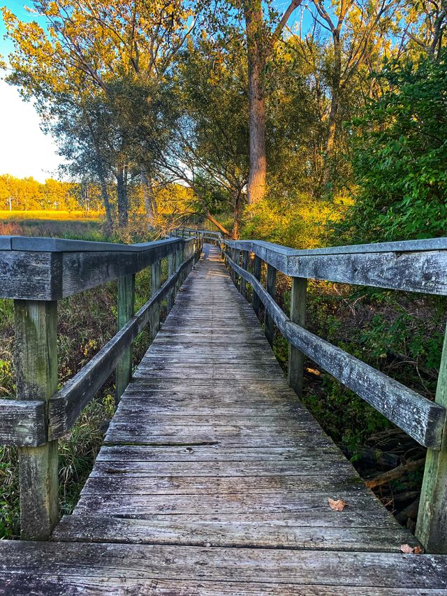 Nature vibes 