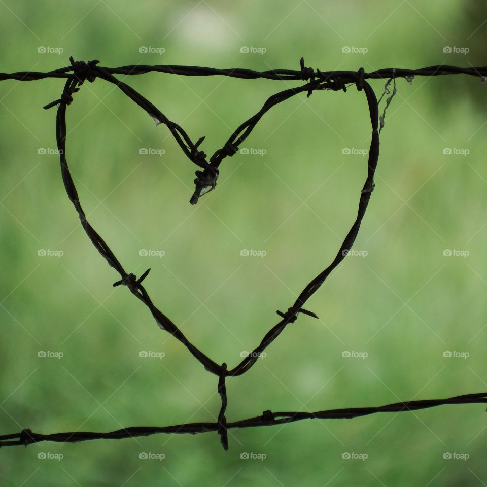 A heart shape fashioned out of barbed wire in a fence against a soft focused green background.