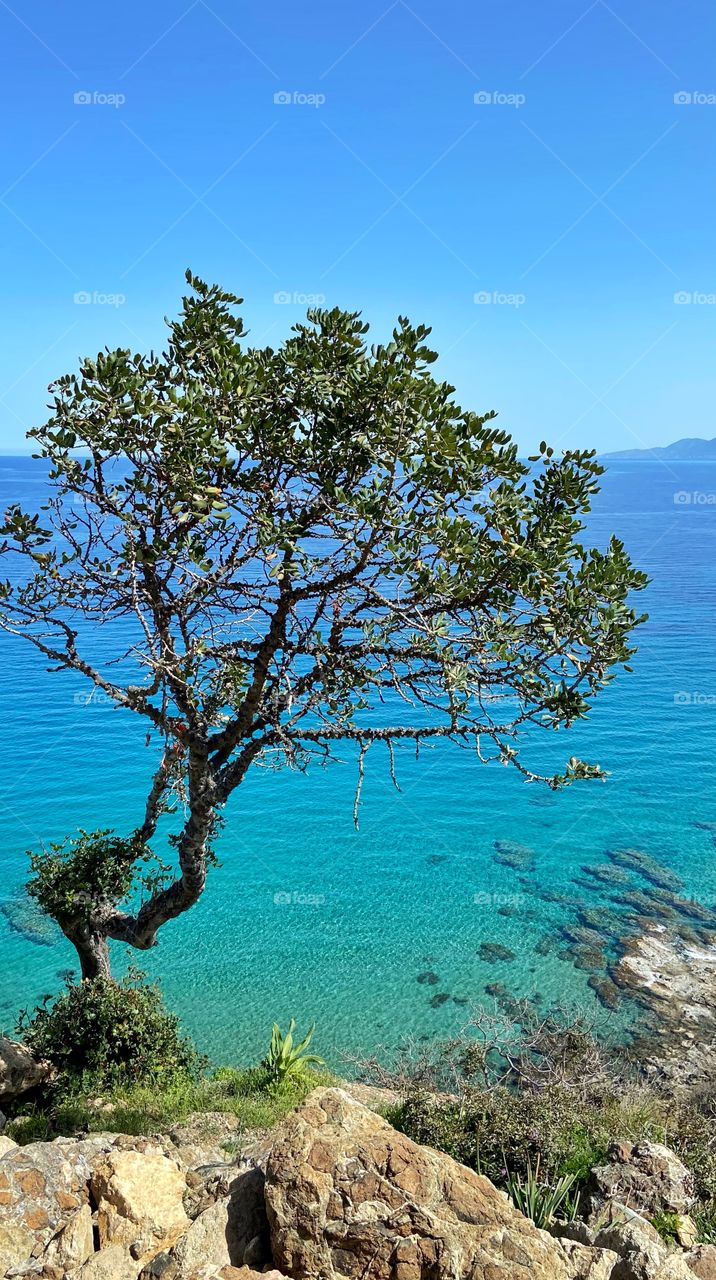 The amazing Akamas peninsula in Paphos , Cyprus. Breathtaking views , vivid colours, flora and fauna!!! Come and visit 🤗