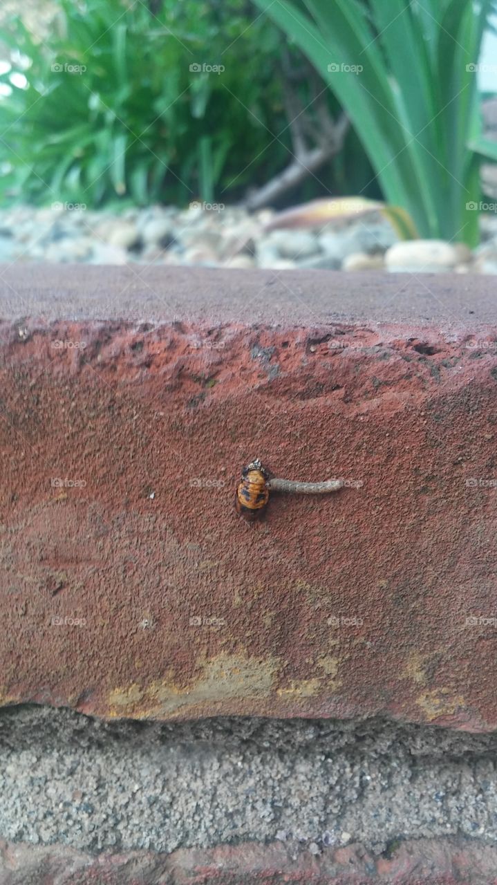 No Person, Outdoors, Rock, Nature, Environment