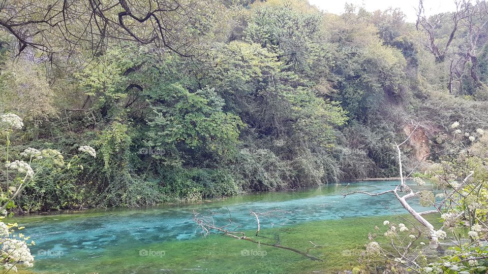 beautiful turquoise river in forest
