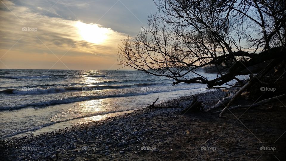 Sunset by the lake with Tree