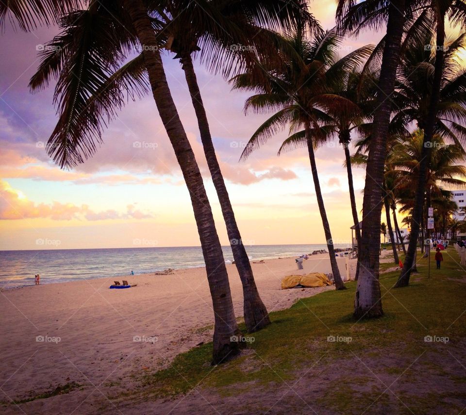 Beach, Ocean, Seashore, Sand, Sun